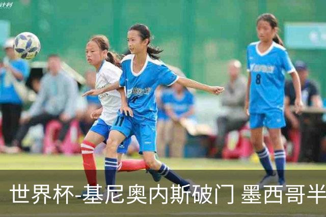 世界杯-基尼奥内斯破门 墨西哥半场1-0领先南非